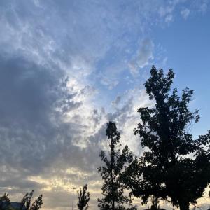 收聽ovrwrld的im srry  (Explicit)歌詞歌曲