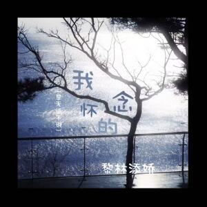 Album 我怀念的(是无话不说) from 黎林添娇