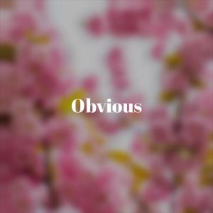 ดาวน์โหลดและฟังเพลง Obvious พร้อมเนื้อเพลงจาก Quim Souk