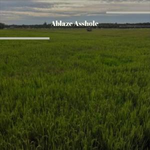 Album Ablaze Asshole from Various