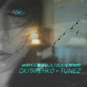 Listen to Мой кайф (Felix Felicis Remix) song with lyrics from СКЛЯРЕНКО