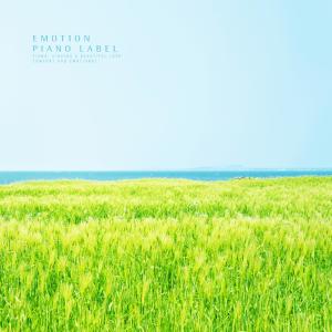 Listen to Under a calm moonlight song with lyrics from Paper Ton