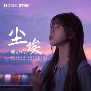 收听林小珂的尘埃歌词歌曲