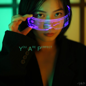 อัลบัม You Are Perfect ศิลปิน AMOS (아모스)