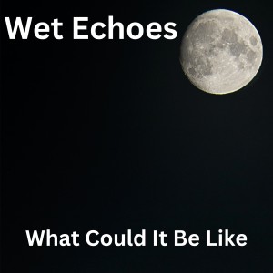 收聽Wet Echoes的What Could It Be Like歌詞歌曲