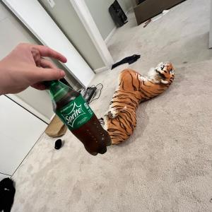 Album GO (Explicit) from heerad