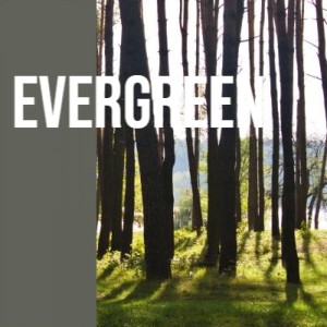 ดาวน์โหลดและฟังเพลง Evergreen พร้อมเนื้อเพลงจาก Kenny Rogers