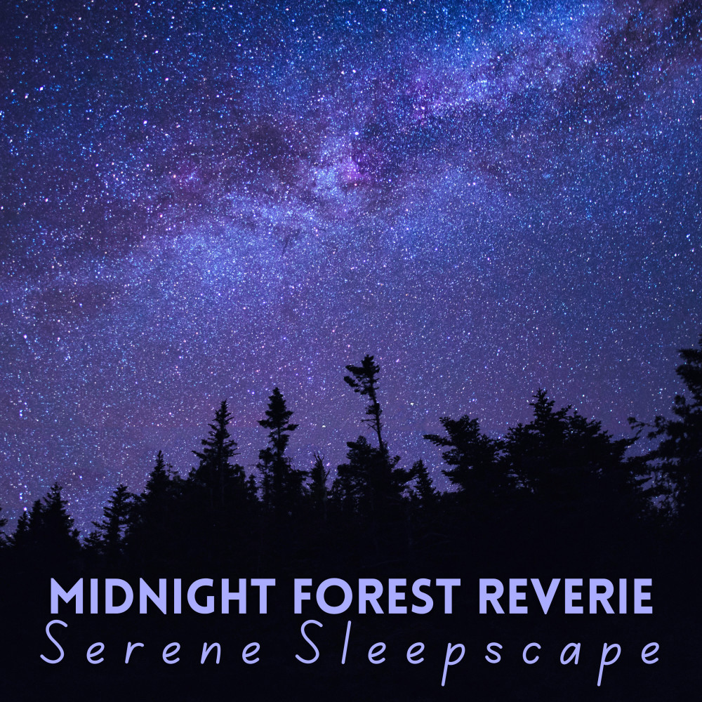 Whispers of the Night Breeze