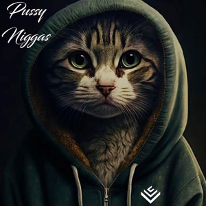 Listen to Pussy Niggas (Explicit) song with lyrics from Asma