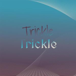 Album Trickle Trickle from Silvia Natiello-Spiller