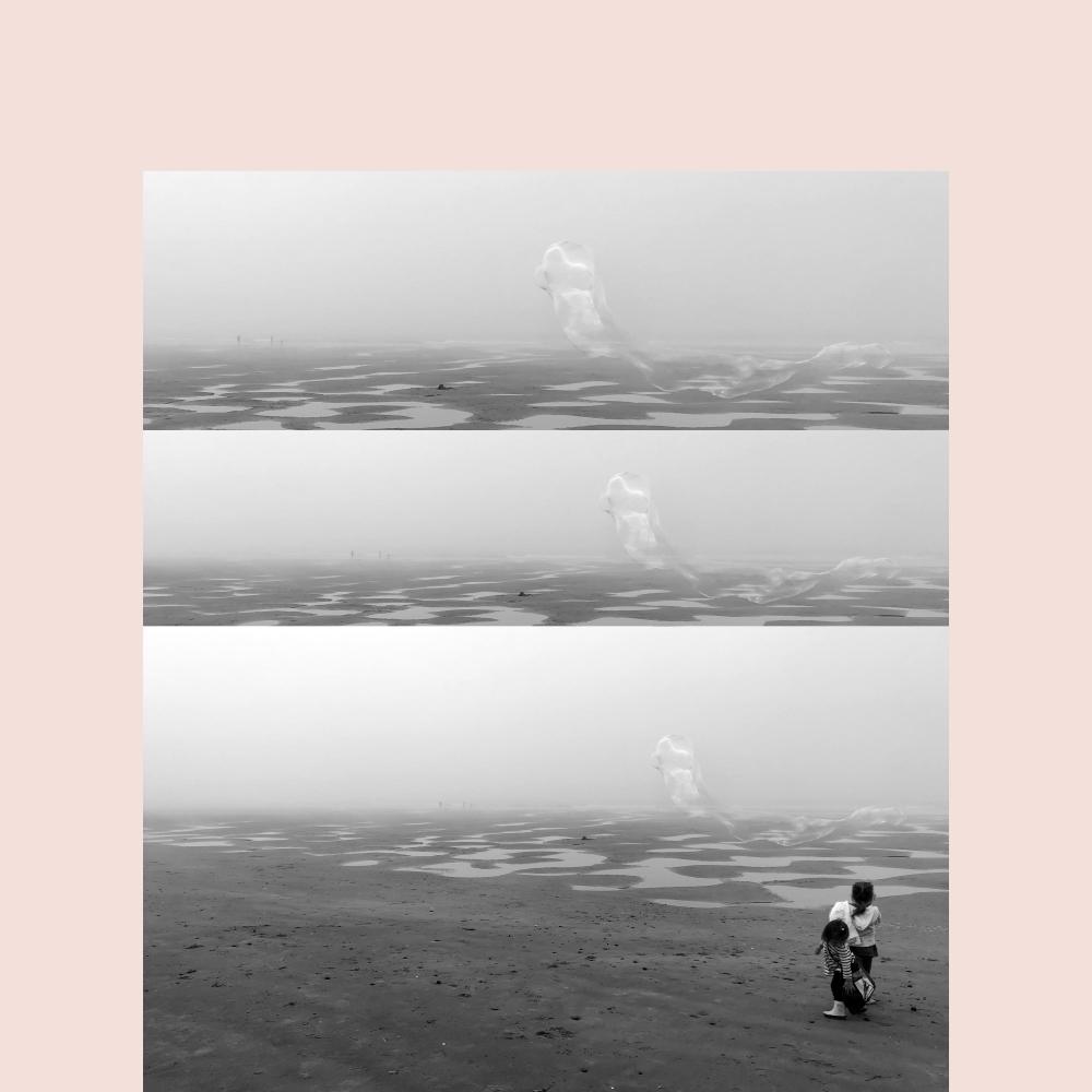 Leap Year (Soft Version)