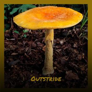 อัลบัม Outstride ศิลปิน Various