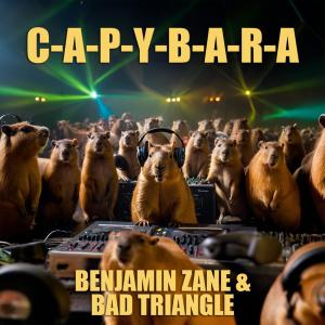 Benjamin Zane的專輯Capybara