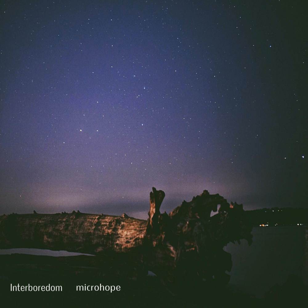  Two Starry Paths 