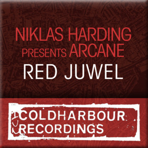 Dengarkan lagu Red Juwel (Basic Perspective's Blackout Mix) nyanyian Niklas Harding dengan lirik