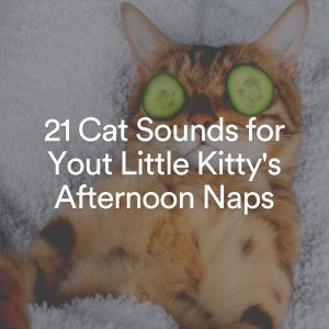 21 Cat Sounds for Yout Little Kitty's Afternoon Naps dari Music For Cats Peace