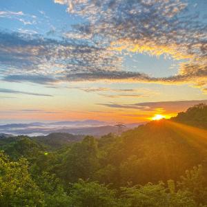 Dengarkan Shine On lagu dari Söll dengan lirik