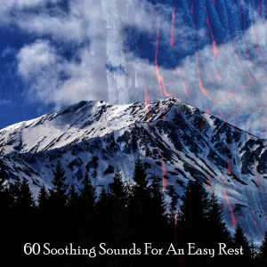 Album 60 Soothing Sounds For An Easy Rest from Healing Music