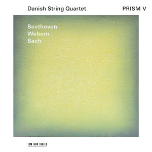 Danish String Quartet的專輯Prism V