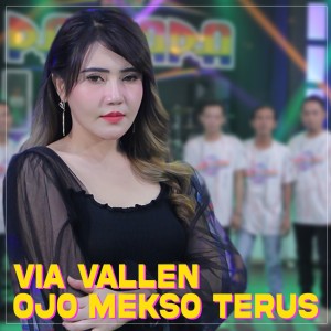 收聽Via Vallen的Ojo Mekso Teros歌詞歌曲