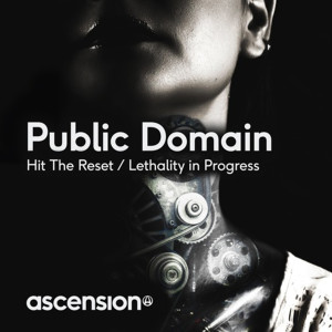 Public Domain的专辑Hit The Reset / Lethality In Progress