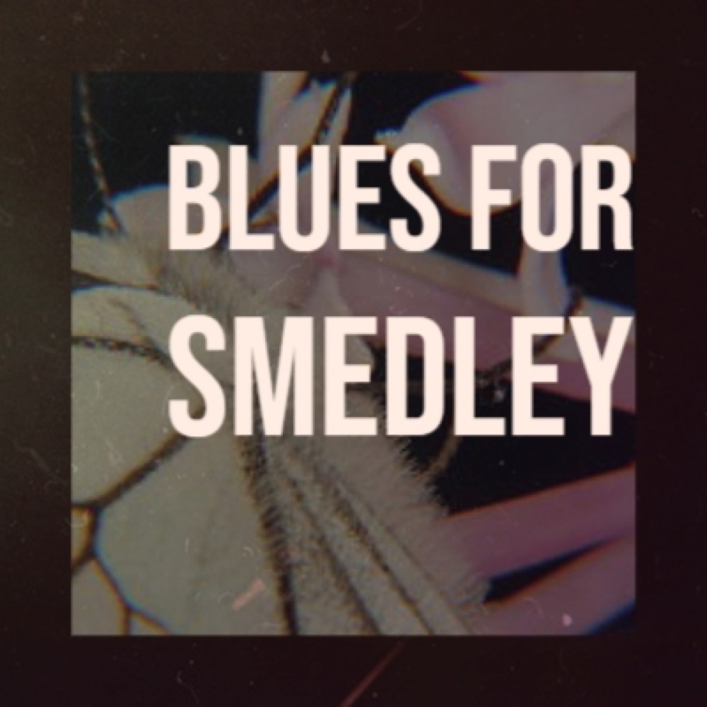Working Man Blues