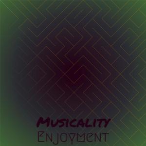 Album Musicality Enjoyment from Various