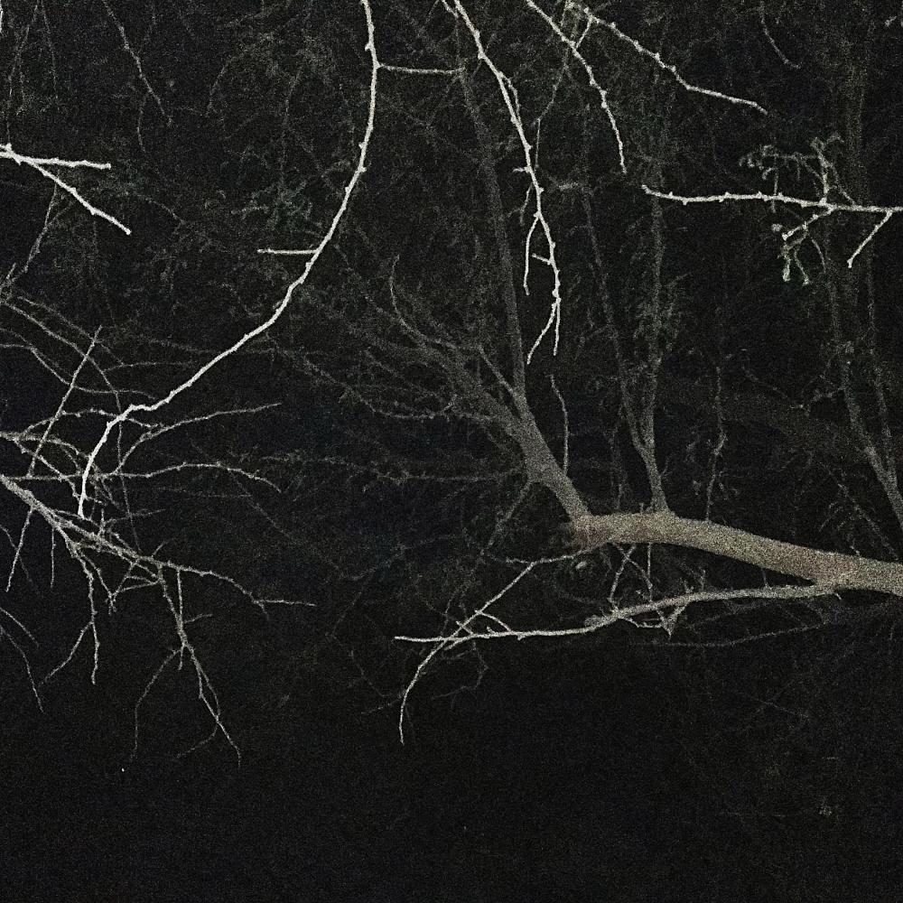 Nocturnal Hallucinations (feat. Mary Mortem)