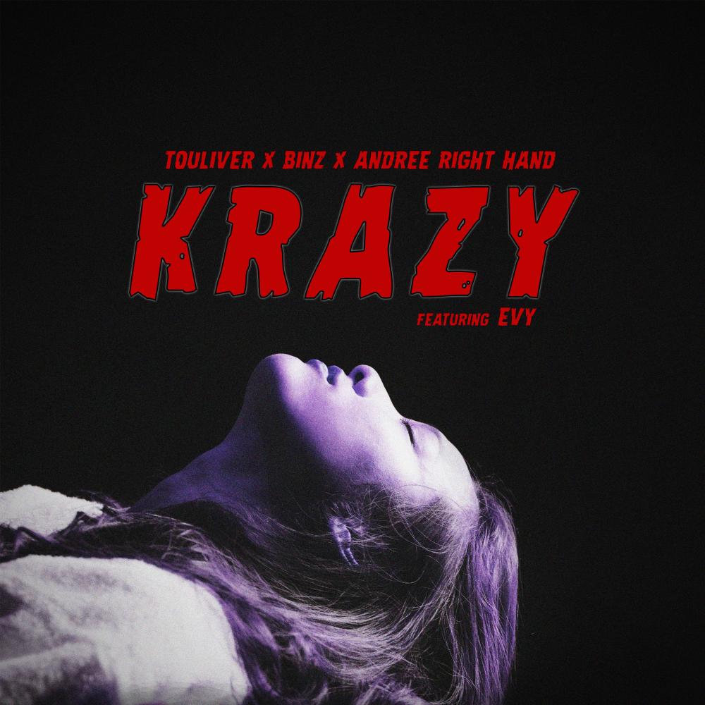 Krazy (feat. EVY) (Explicit)