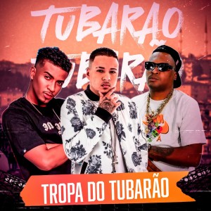 收聽Dj Nandinho Original的Tropa do Tubarão (Explicit)歌詞歌曲