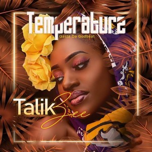 收聽Talik Zee的Temperature歌詞歌曲