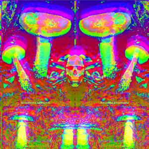 Dengarkan lagu Toxic Shrooms nyanyian Papa Squat dengan lirik