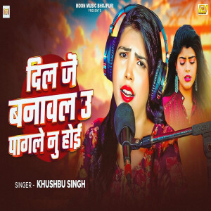 Album Dil Je Banawal U Pagle Nu Hoi from Khushbu Singh