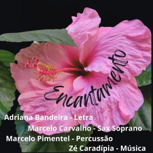 ดาวน์โหลดและฟังเพลง Encantamento พร้อมเนื้อเพลงจาก Zé Caradípia