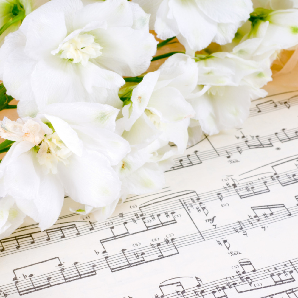 Harmonic Flow Ambient Music