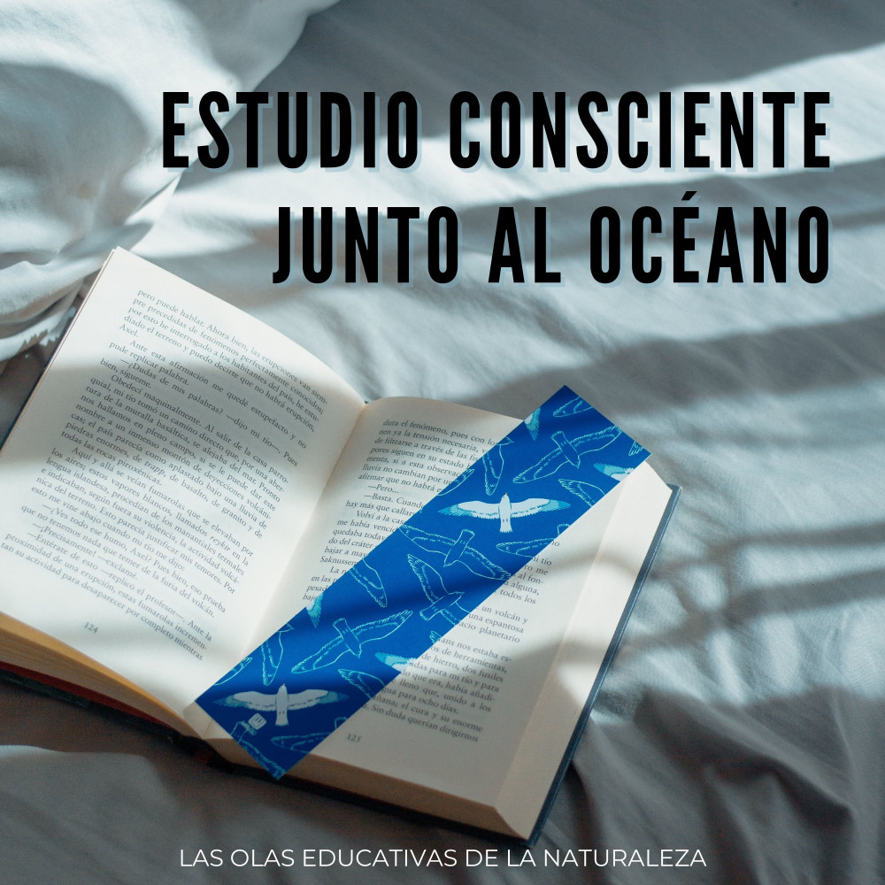 Aprendiendo Sonidos De Olas Oceánicas