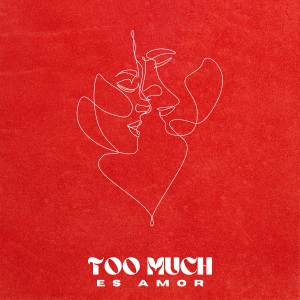 Album Es Amor oleh Too Much