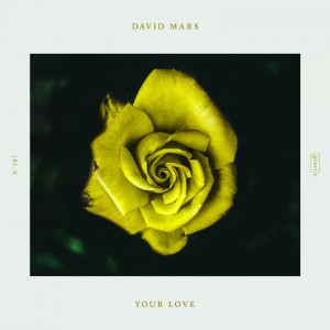 收聽David Mars的Your Love (Extended Mix)歌詞歌曲