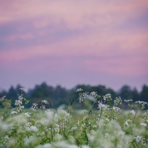 ดาวน์โหลดและฟังเพลง Memories พร้อมเนื้อเพลงจาก Spa Music Relaxation