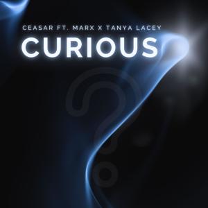 Tanya Lacey的專輯Curious (feat. Marx & Tanya Lacey)