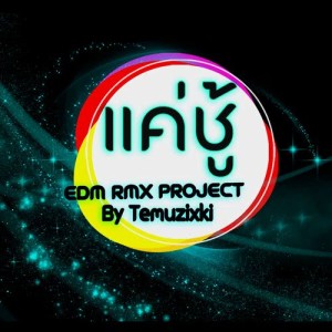อัลบัม แค่ชู้ (EDM RMX Project by Temuzixki) - Single ศิลปิน ศร สินชัย