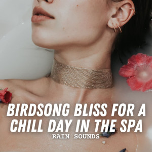 Spa & Relaxation的专辑Rain Sounds: Birdsong Bliss for a Chill Day in the Spa