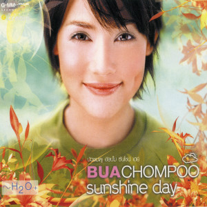 ดาวน์โหลดและฟังเพลง ให้โอกาสได้ไหม พร้อมเนื้อเพลงจาก บัวชมพู ฟอร์ด