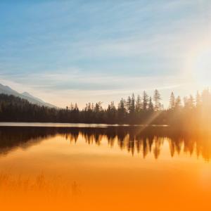 收聽Chill Bees的Peaceful Harp And Piano Melodies With Ambient Music And Nature Sounds For Emotional Healing And Sleep歌詞歌曲