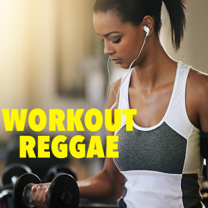 Album Workout Reggae from Various