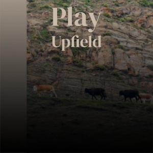 Album Play Upfield from Various