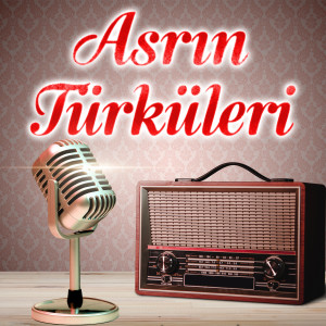 Listen to Pencereden Kuş Uçtu song with lyrics from Taner Şener