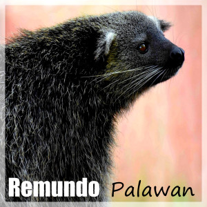 Remundo的专辑Palawan
