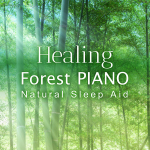 Dengarkan lagu Woodland Medicinal nyanyian Relax α Wave dengan lirik