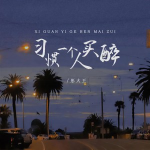 Listen to 习惯一个人买醉 (DJ彭锐版) song with lyrics from 彤大王
